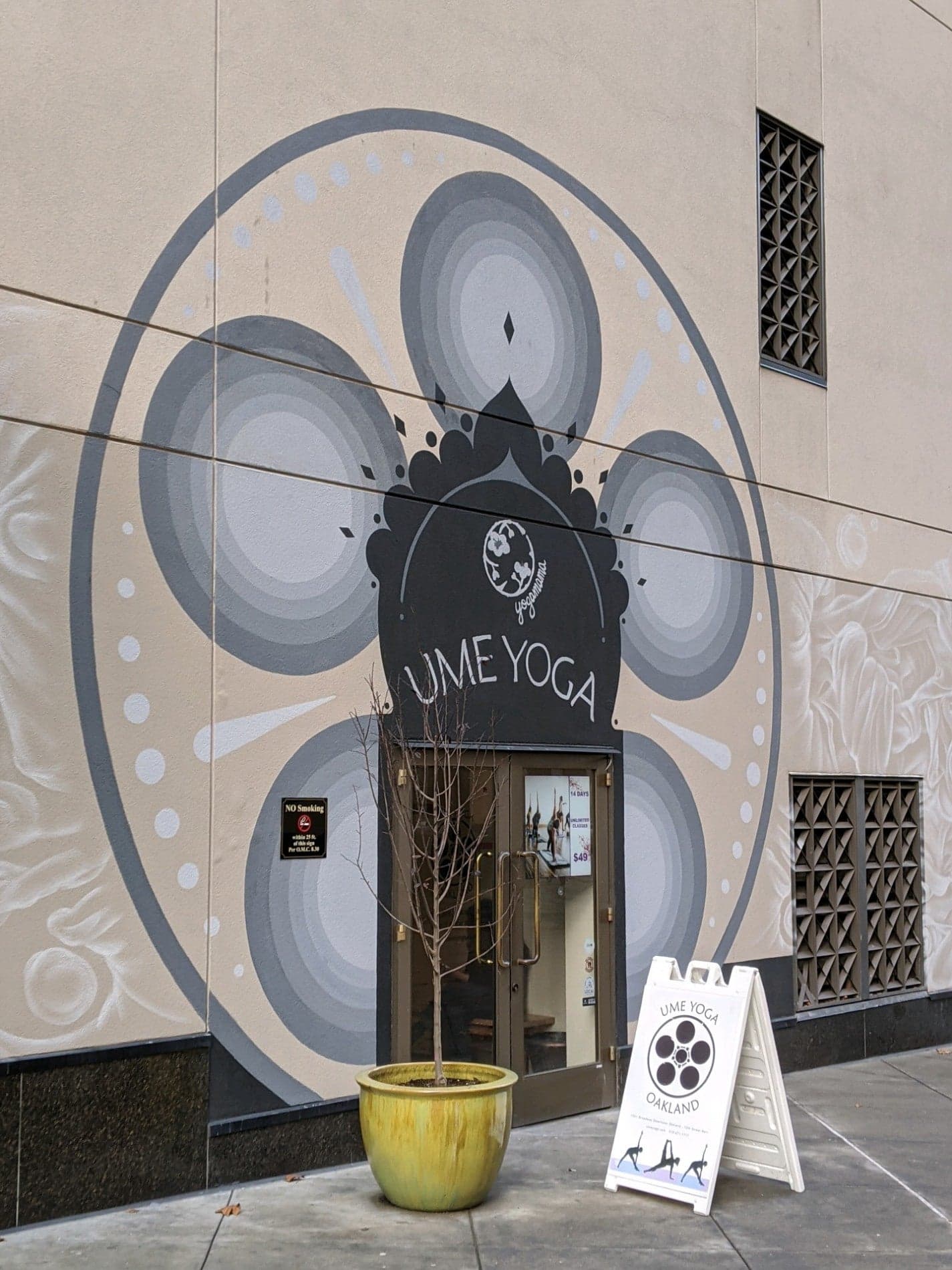 Ume Yoga, a fitness in Oakland